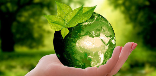 Dia Mundial Medio Ambiente ViamoTutti